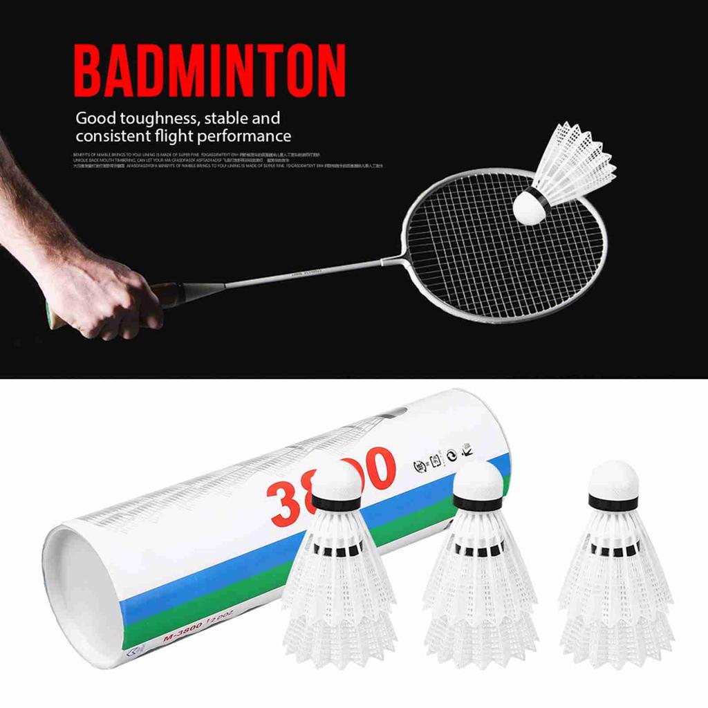 6 Pieces Badminton Shuttlecocks Fther Shuttlecock with Storage Case for Training Practice Casual Game Outdoor Sports