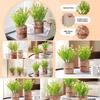 1Pc Potted Plant Northern Europe Simulated Flower Holiday Gifts Weave Modern Simplicity Hangings Home Decoration Plastic
