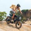 Urlife T2 Electric Bicycle 20" Fat Tire 500W Motor All Terrain Adult Electric Bike 7 Speed Dual Disc Brakes Max Load 120Kg