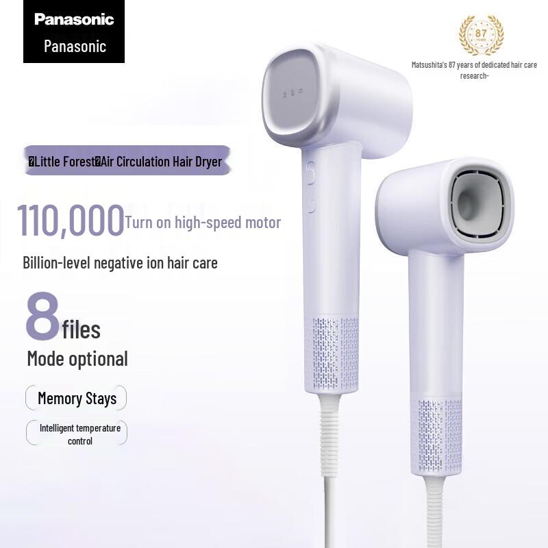 Panasonic High-Speed Negative Ion Hair Dryer CN plug (adapter included)