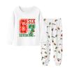 Children's  Boys And Girls Thin Two-piece  Long-sleeved Pants Two-piece
