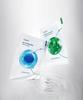 [Total 10 Sheets/High-Purity Mask] Madecassoside Soothing Ampoule Mask 5 Sheets + B5 Hydration Ampoule Mask 5 Sheets