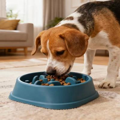 Miska pro psa, Mísa pro psa, Proti překlopení, Protiskluzová miska pro mazlíčka, Miska na pomalé krmení, Pro psy, Střední velikost, Pomalé krmení, Miska na krmivo pro psy proti hltání