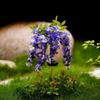 Realistic Solar Wisteria Flower Lamp Creative Landscape Lawn Lamp Simulation Flower Lamps  House