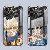 D-ragonS B-allS Anime Glas Handyhülle Case für iPhone 17 Pro Max 13 12 16 Air 8 15 Plus XR 14 11