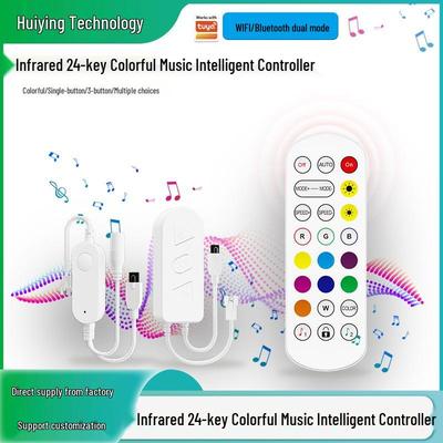 WiFi/Bluetooth Çift Modlu Tuya Uzaktan Kumandalı LED Rüya Rengi Işık Şeridi Kontrol Cihazı