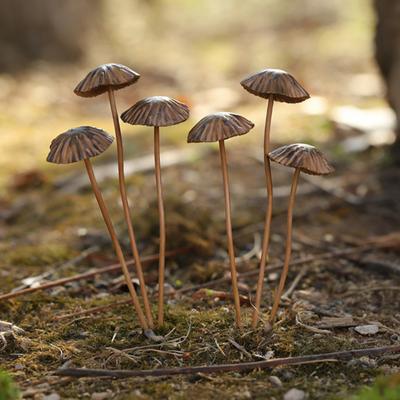 1/5/6/8/10 Stück Schmiedeeisen Pilz Dekoration Set Leicht Stabile Struktur Schreibtisch Ornament Garten Haus Dekor