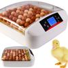 Kruger Meier Proeggora 56 Incubator with Auto Thermostat for 56 Eggs Agro Equipment