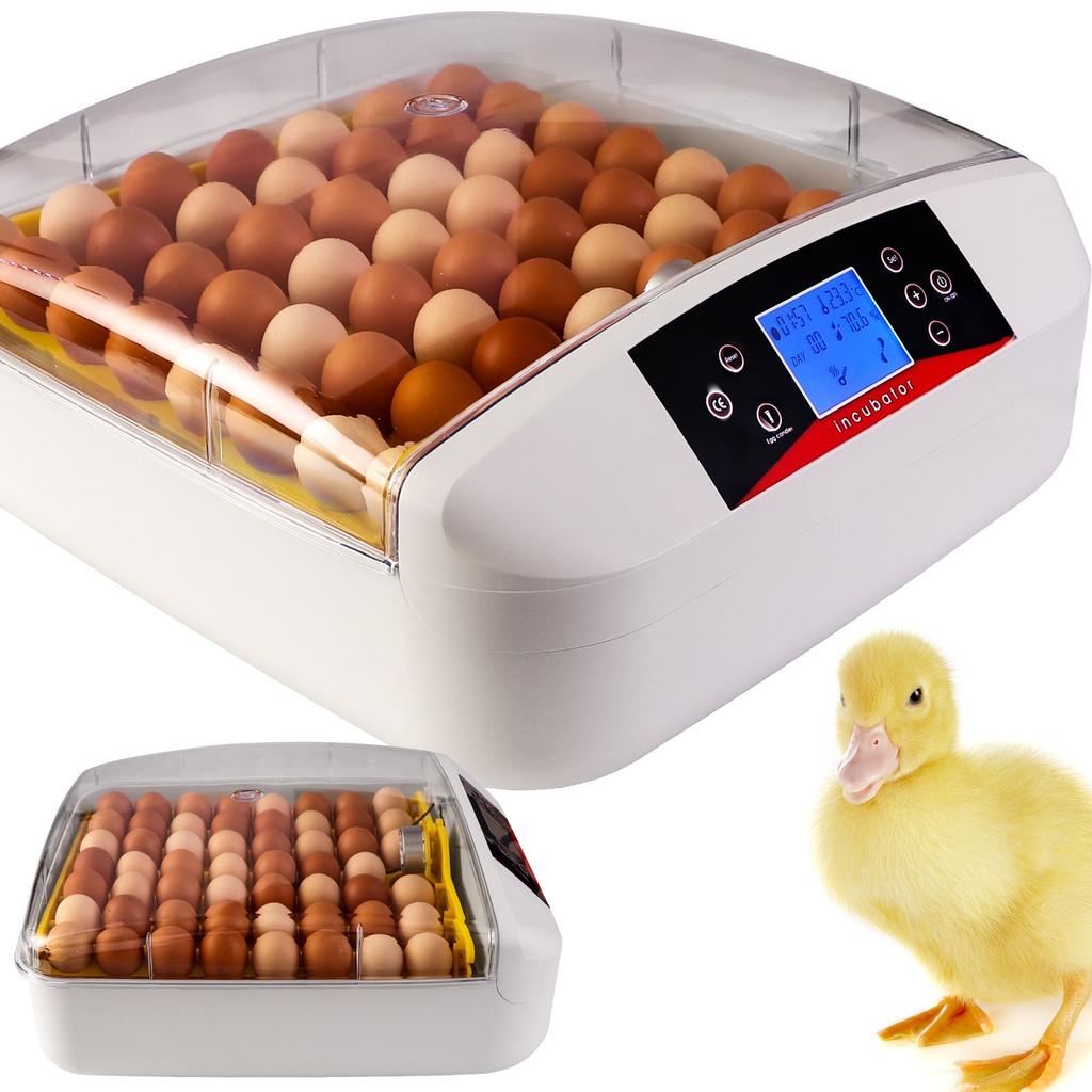 Kruger Meier Proeggora 56 Incubator with Auto Thermostat for 56 Eggs Agro Equipment