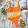 2021 New European & American Ribbed Solid Color Women's Bikini Swimwear B169