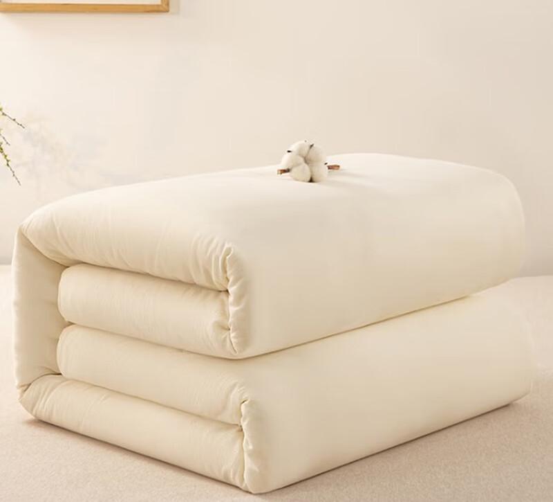 Muji Xinjiang Cotton Lyocell All-Season Quilt