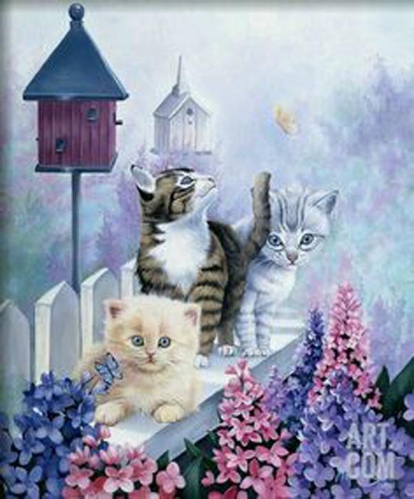 

Алмазная картина Кот 5D Алмазная картина Набор для вышивки крестом Наборы для алмазной живописи 15*20cm