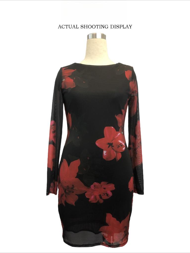 Women Floral Print Mesh Dress Round Neck Long Sleeve Slim Maxi Dress Spring