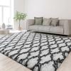 Fluffy Rug Indoor Plush Soft Carpet Soft Shaggy Rugs Plush Area Rugs for Living Room Bedroom Fluffy Carpets Home Decor