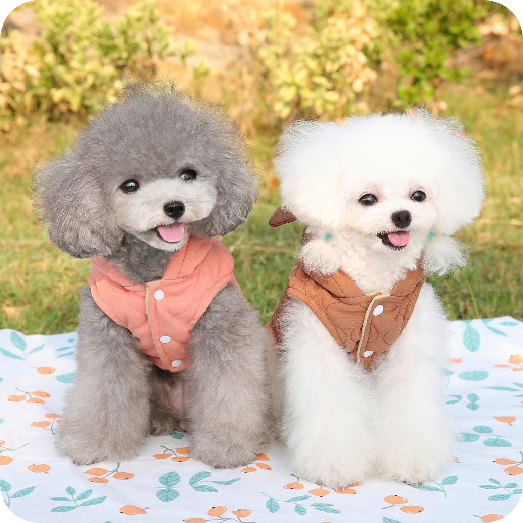 Pet Clothes Dogs and Cats Luxury Clothing Winter Autumn Cotton-padded Clothing