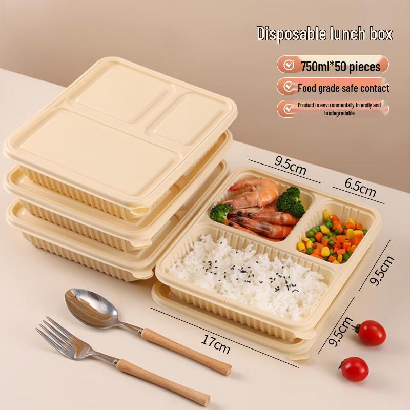 

Biodegradable Rubber Disposable Food Container