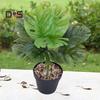 Artificial Monstera Leaves Vivid Fresh Keeping 9 Forked Fake Potted Green Plant Leaves Party Supplies
