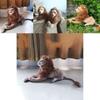 Vivid Lion Plush Soft Cuddly Huge Stuffed Animal Delightful Jungle Doll For Kids