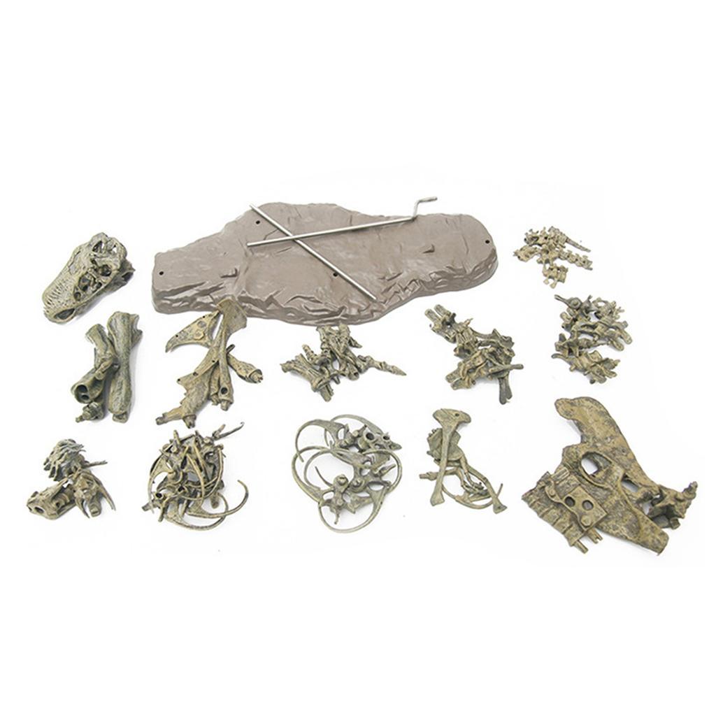 10ml Dinosaur Skeleton Resin Crafts Personalized Desktop Ornaments