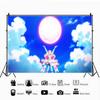 Anime Hirogaru Sky Background For Photography Bunny Easter Eggs Vintage Wood Board Kids Birthday Party Decor Backdrops