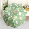1pc Daisy Pattern Themed Design Umbrella 8 Rib Frame,Automatic Opening 3 Fold Umbrella, Lightweight and Durable Couple Umbrella-p0803029