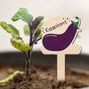15 Pcs Wooden Plant Labels Vegetable Names And Patterns Markers T Type Plant Labels for Seedlings Potted Plants Identification