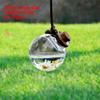 Car Hanging Diffuser Bottles Empty Glass Bottle With Flower Car Mirror Aromatherapy Fragrance Hanging Pendant Air Freshener