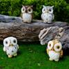 Detailed Miniature Model Mini Owl Figurine Resin Ornament Tiny Animal Figure Personal Use for Terrarium Bonsai Micro Landscape Fairy Garden