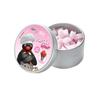 TOOSTY Xylitol Lactobacillus Candy 70g (Choose 1 of 2 Types) (Snow Igloo / Fruit Parfait)
