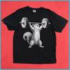 Gym Squirrel Shirt Funny Weightlifting Tee, Powerlifting Animal Gift, Workout Graphic T-Shirt, Gift for Gym Rat, Funny Fitness Top