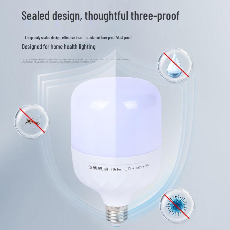 Industrial Waterproof 50W Low Voltage LED Bulb