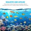 Yardwe Sea Creatures Set of 24 Tropical Fish Realistic Marine Life Miniature Aquarium Bath Educational Prize Gift Toys, Ornaments, Toys, Fish, Crab,