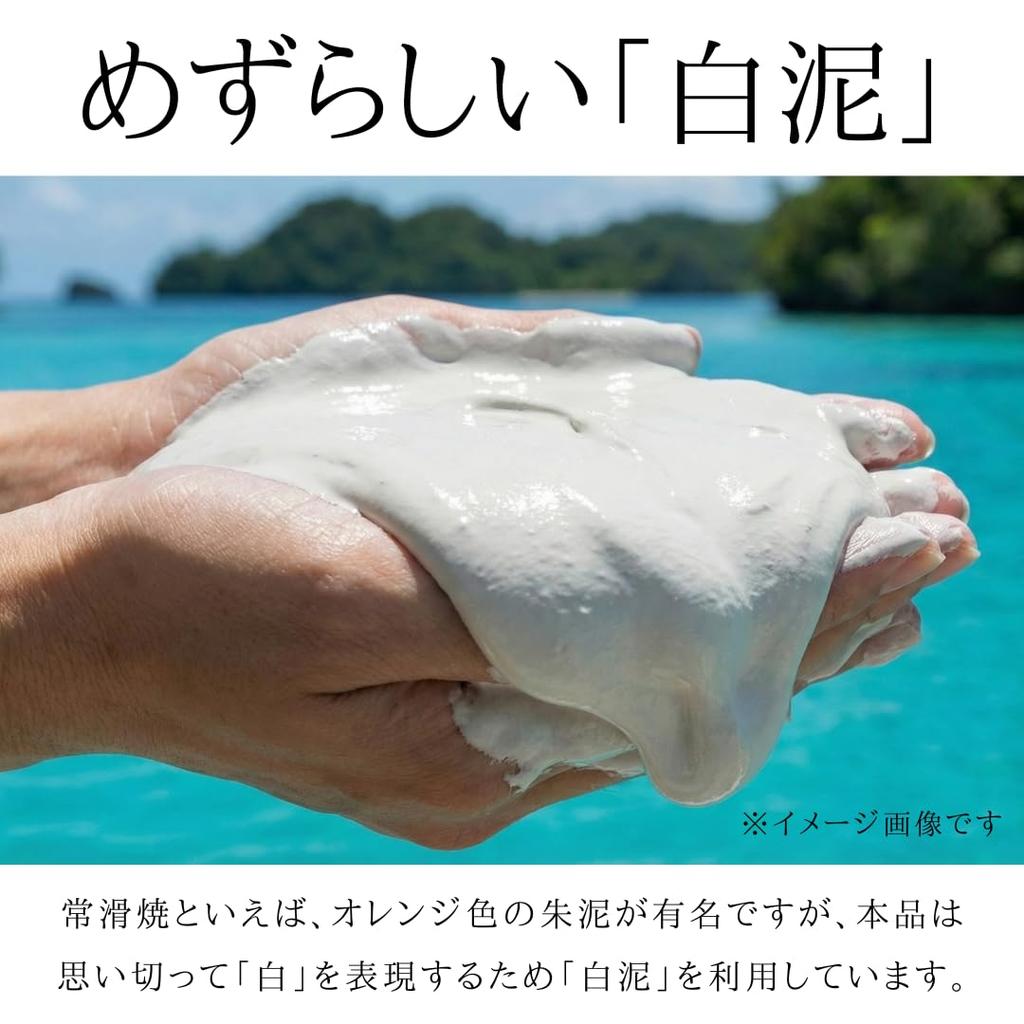 White Round Kyusu (Tokoname Ware Teapot), Made in Japan [Tea Leaves Spread Out / Ceramic Tea Strainer / 420ml] Kitusako Ceramesh, Stylish, Serves 2-3,