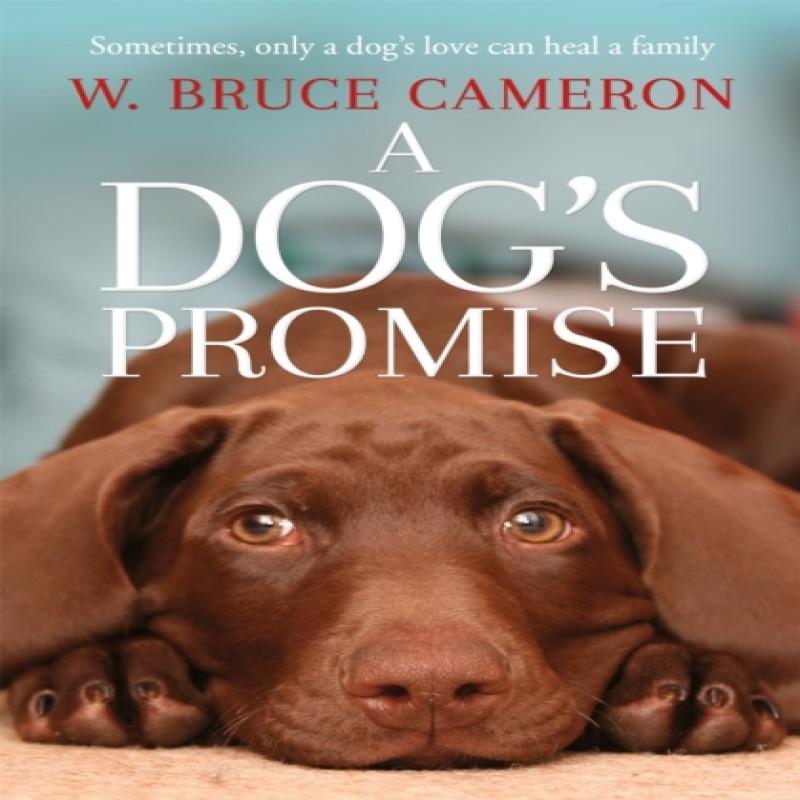 A Dogs Promise by W. Bruce Cameron Paperback Book 9781529010084