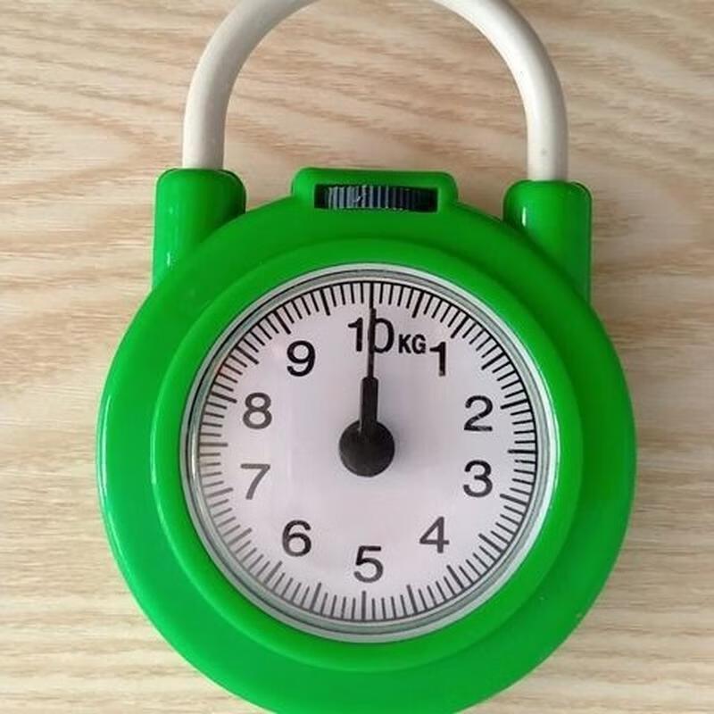 Gureide Portable High-Precision Spring Scale