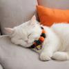 Witch Bat Pumpkin Collar Halloween Pom-pom Cat Collar, Adjustable Cute Dog with Decorations Orange And Black Pom-poms for Cats Dogs Photogenic