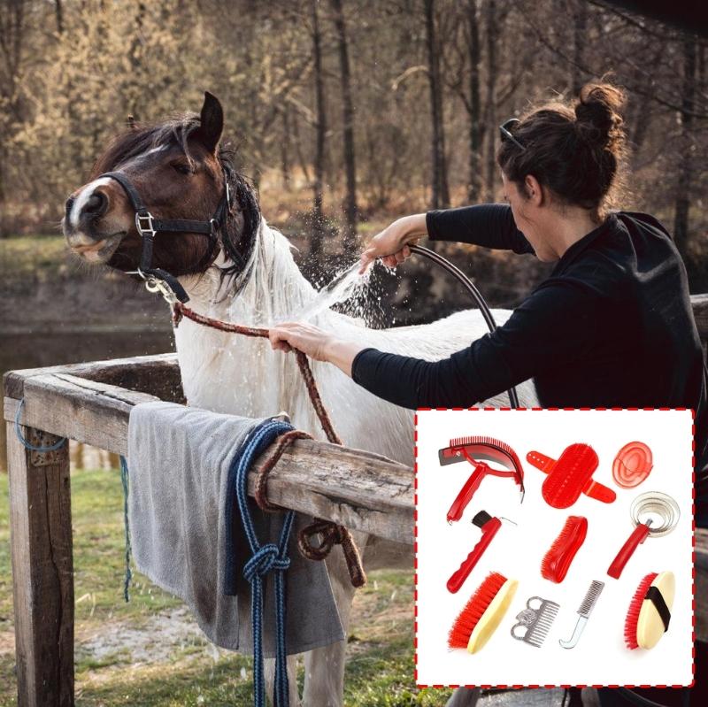 Horse Shedding Grooming Massaging Tool Set Bathing Cleaning Supply Horse Equipment Cleaning Tool