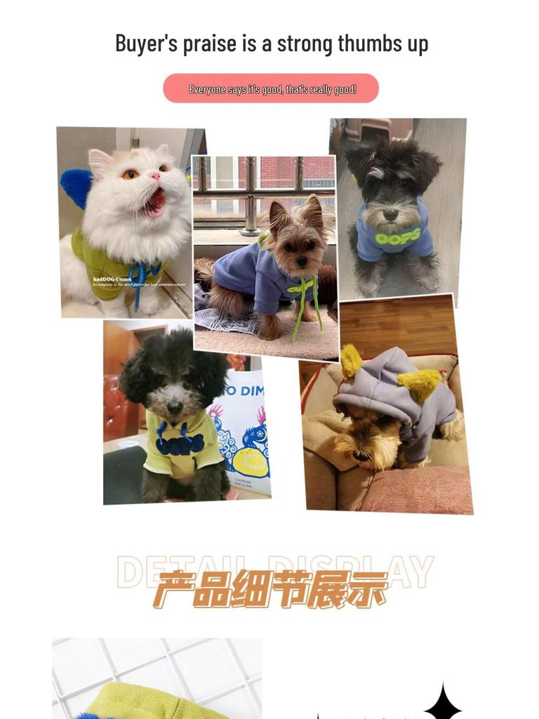 Cozy Autumn/Winter Sweatshirt for Small Pets - Schnauzer, Teddy Bear, Bichon