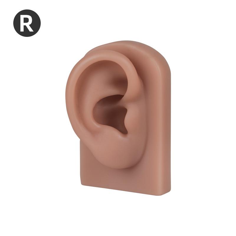 Silicone Ear Model for Light/Dark Skin Tones - Soft Ear Model for Ear Picking Practice