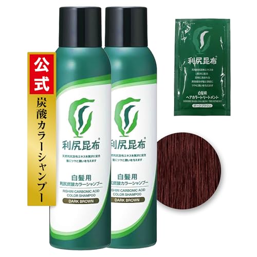 Sastty Rishiri Carbonated Color Shampoo (Dark Brown) for Gray Hair, 180g x 2 Bottles (Includes Bonus Packet of Rishiri Hair Color Treatment)