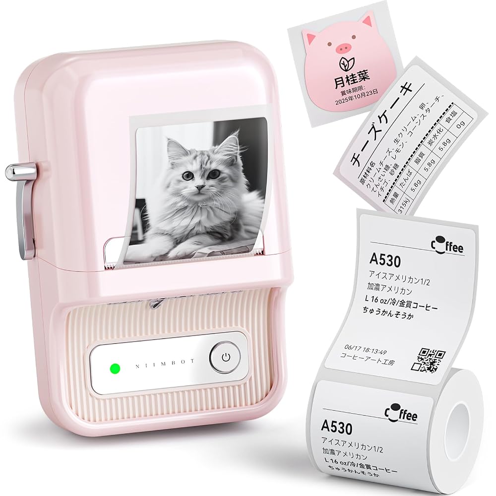 NIIMBOT B21 Label Printer, Label Maker, Price Tag Printer, Thermal Label Writer, Bluetooth