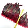 5-10Meter Natural Chicken Rooster Tail Feathers Trims Fringe Plumas Wedding Party Dress Decoration Needlework Accessories13-18cm