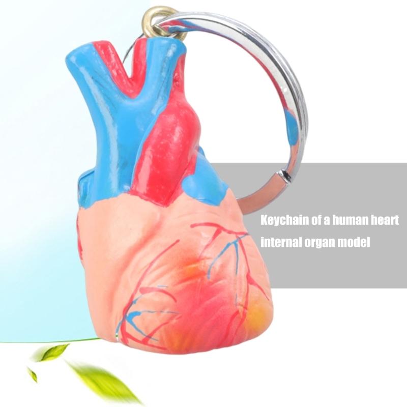 Porte-clés Imprimé en 3D Pendentif Structure Cardiaque Réaliste Outil d'Apprentissage Compact pour Salles de Classe Démonstrations Cliniques