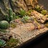 Translucent Lizard Acrylic Shelter Breathable Reptile Hideout Reptile Hide Cave  Pet Breeding