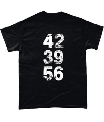 Üst giysisi – T-shirtler