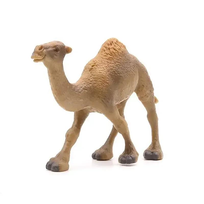 Realistic Camel Model Solid Dromedary Bactrian Static Toy Ornament Home Decor