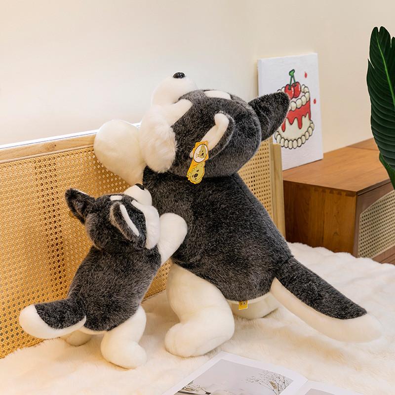 Plush Husky Toy Cute Cartoon Girl Child Bedroom Decoration Scene Simulation Doll