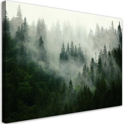 Fototapeta Les v hmle