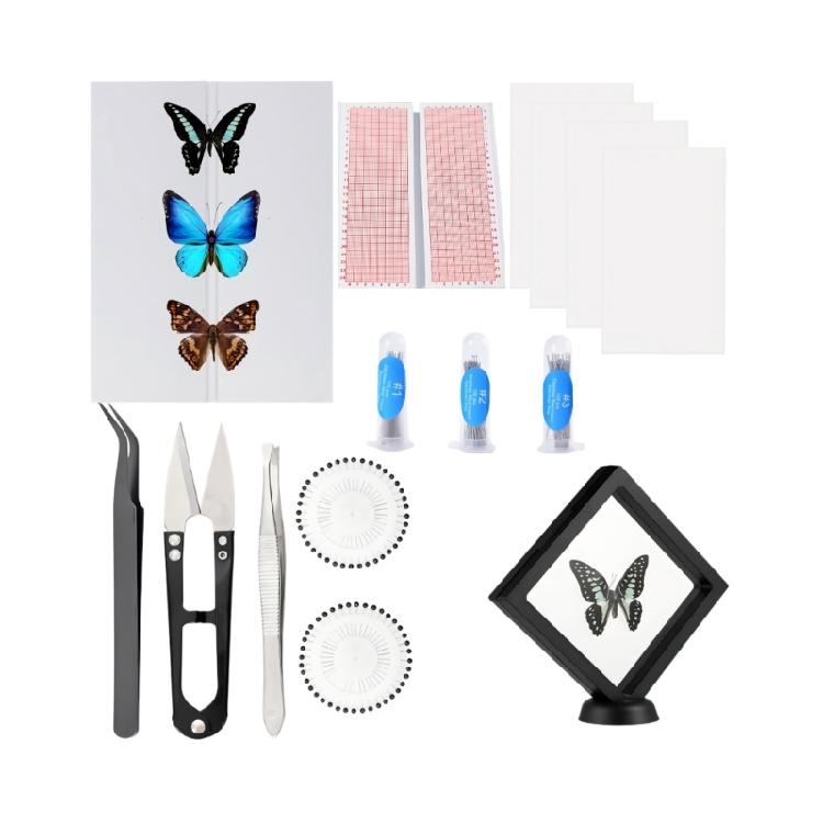 

Premium Butterfly And Insect Mounting Set Having Required Items For Scientific Assembly 1