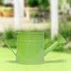 Vintage Iron Watering Can Planter Convenient Metal Container Perfect As a Flower Pots or Office Decoration